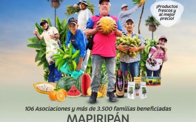 Este domigo 4 de diciembre en Mapiripán se llevará a cabo el gran Mercado Campesino